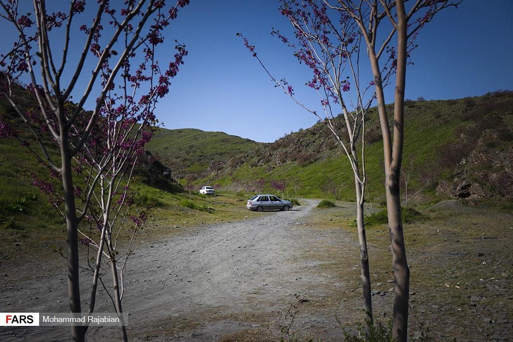 دره زیبای ارغوان مشهد به روایت تصویر