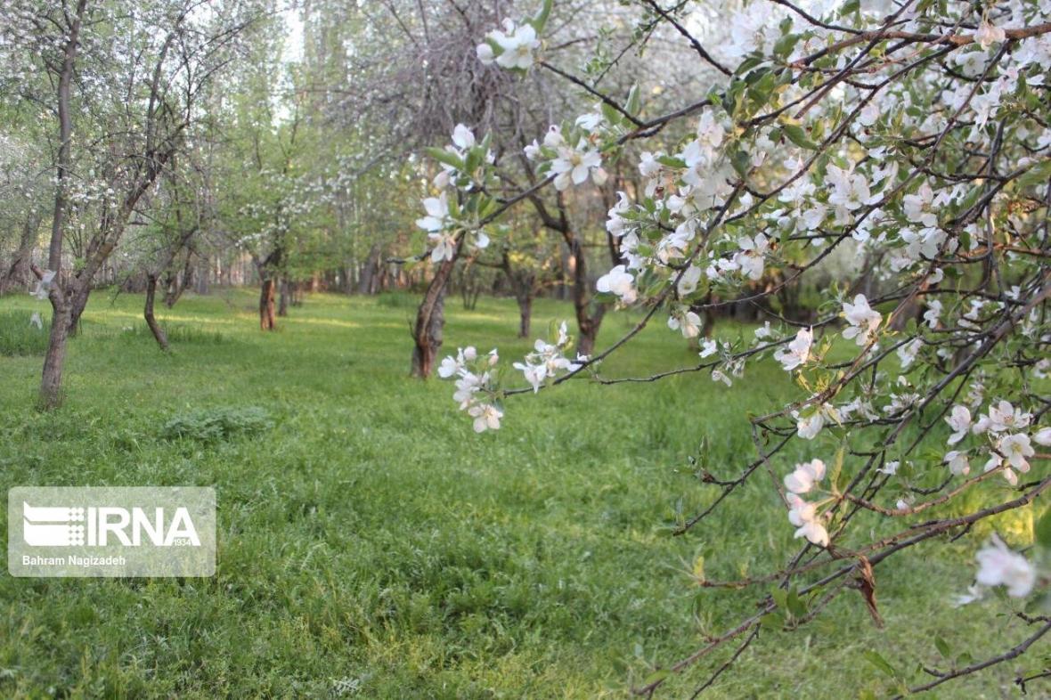 خبرنگاران تغییر کاربری باغ های استان سمنان مستلزم اجرای صحیح قوانین است
