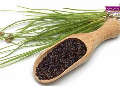 طریقه مصرف اسفرزه