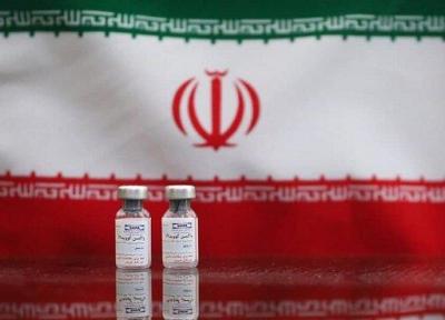 آخرین خبرها از واکسن های ایرانی کرونا ، احتمال ادغام فاز 2و3 تست انسانی واکسن کوو برکت