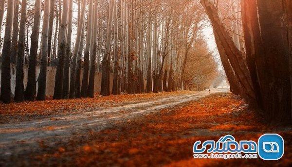 راهنمای سفر یک روزه به شهریار از دیدنی ها تا اقامت